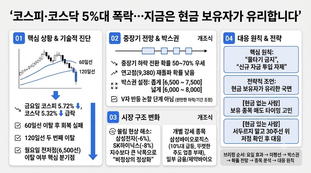 인포그래픽 요약