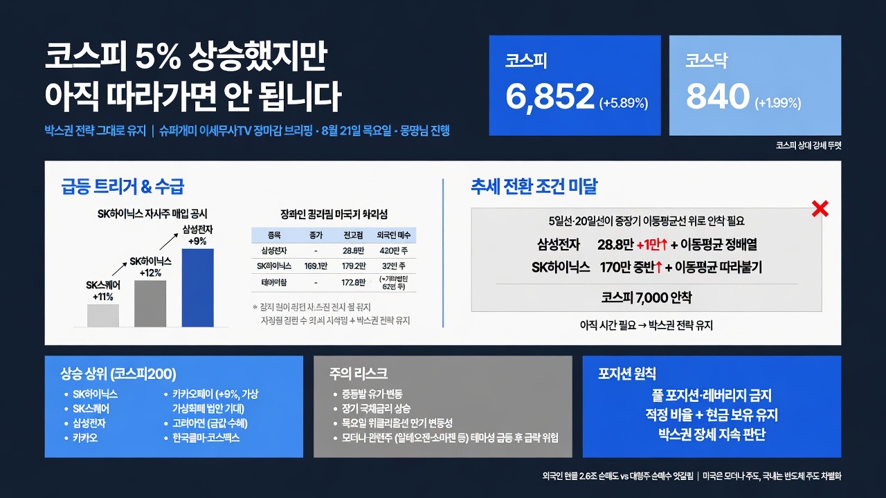 인포그래픽 요약