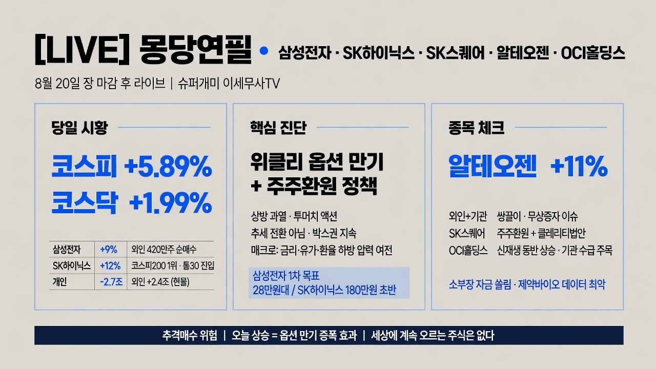 인포그래픽 요약