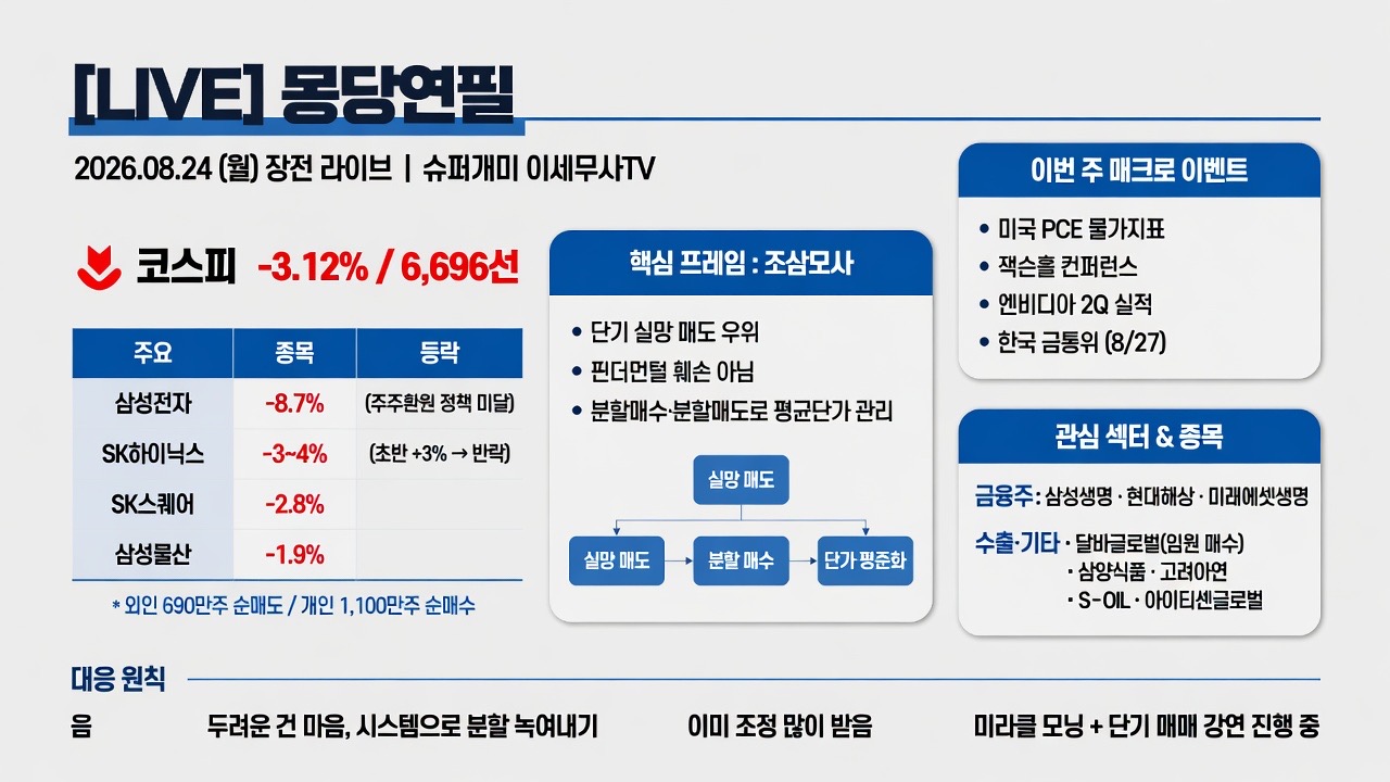 인포그래픽 요약