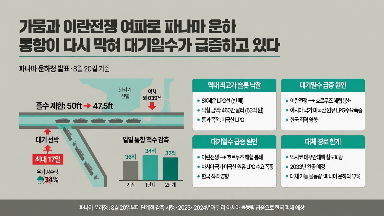 인포그래픽 요약