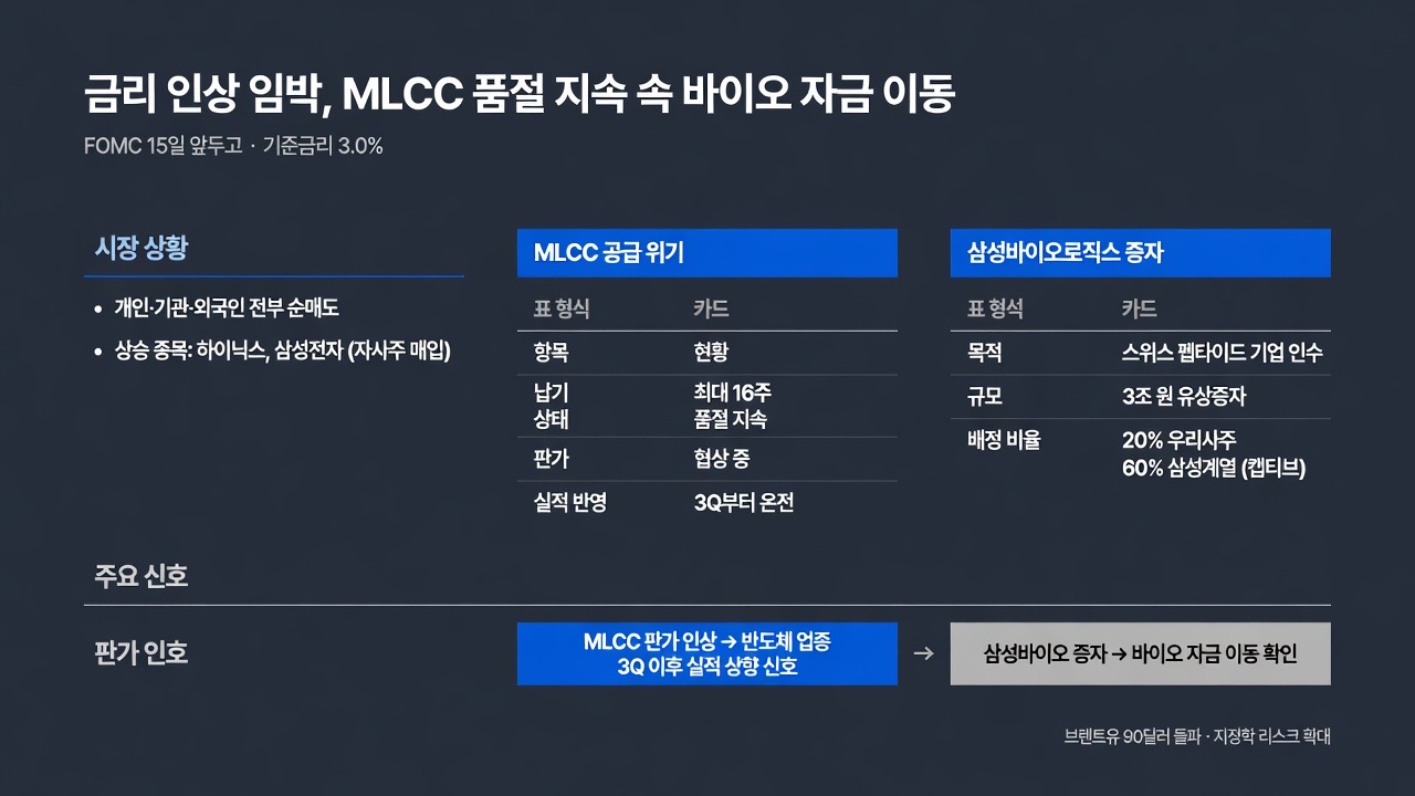인포그래픽 요약